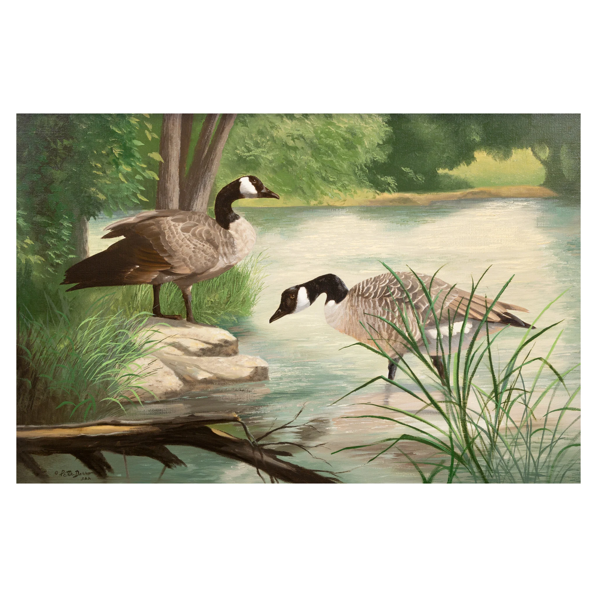 Wading by Peter Darro
