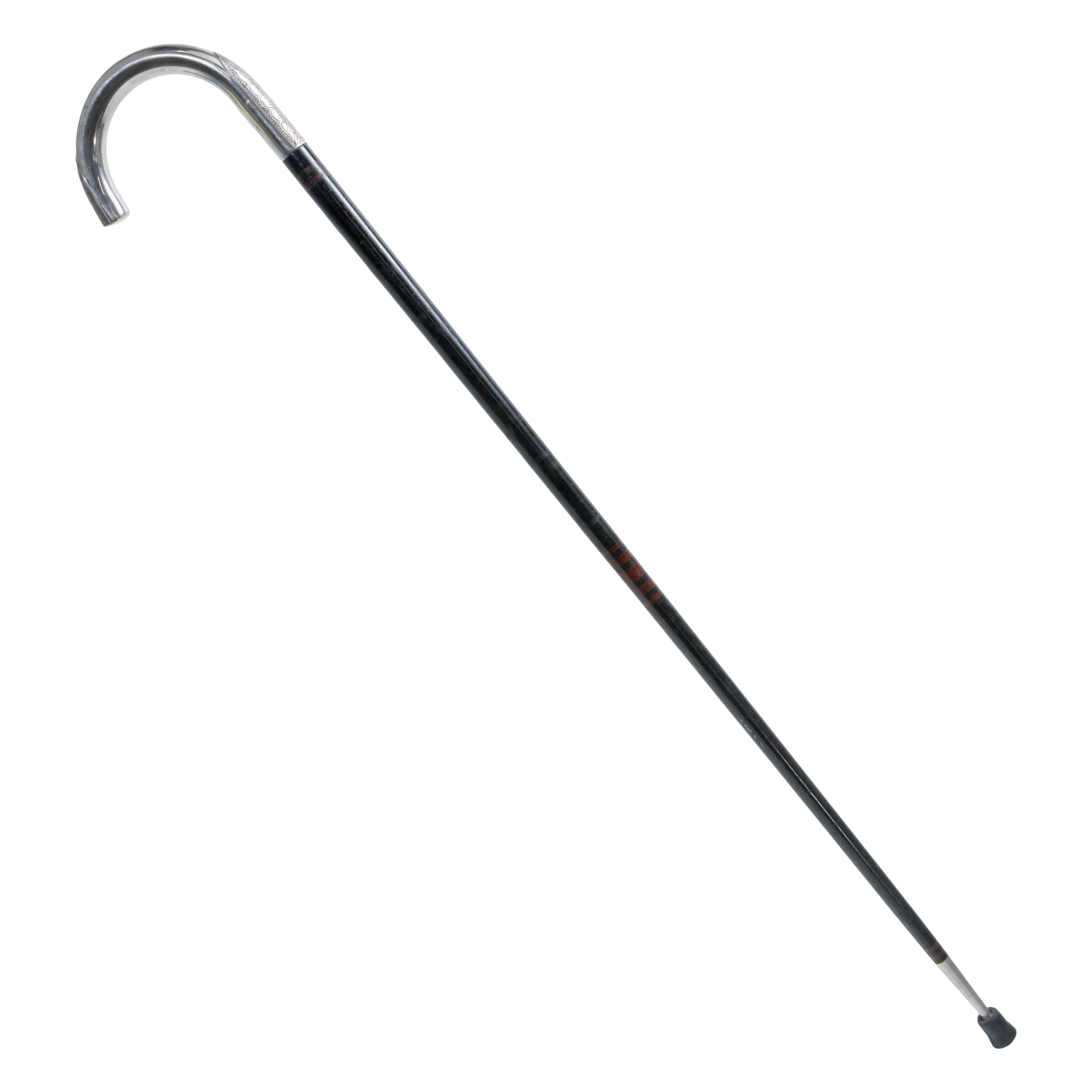 Walla Walla Cane - Image 2