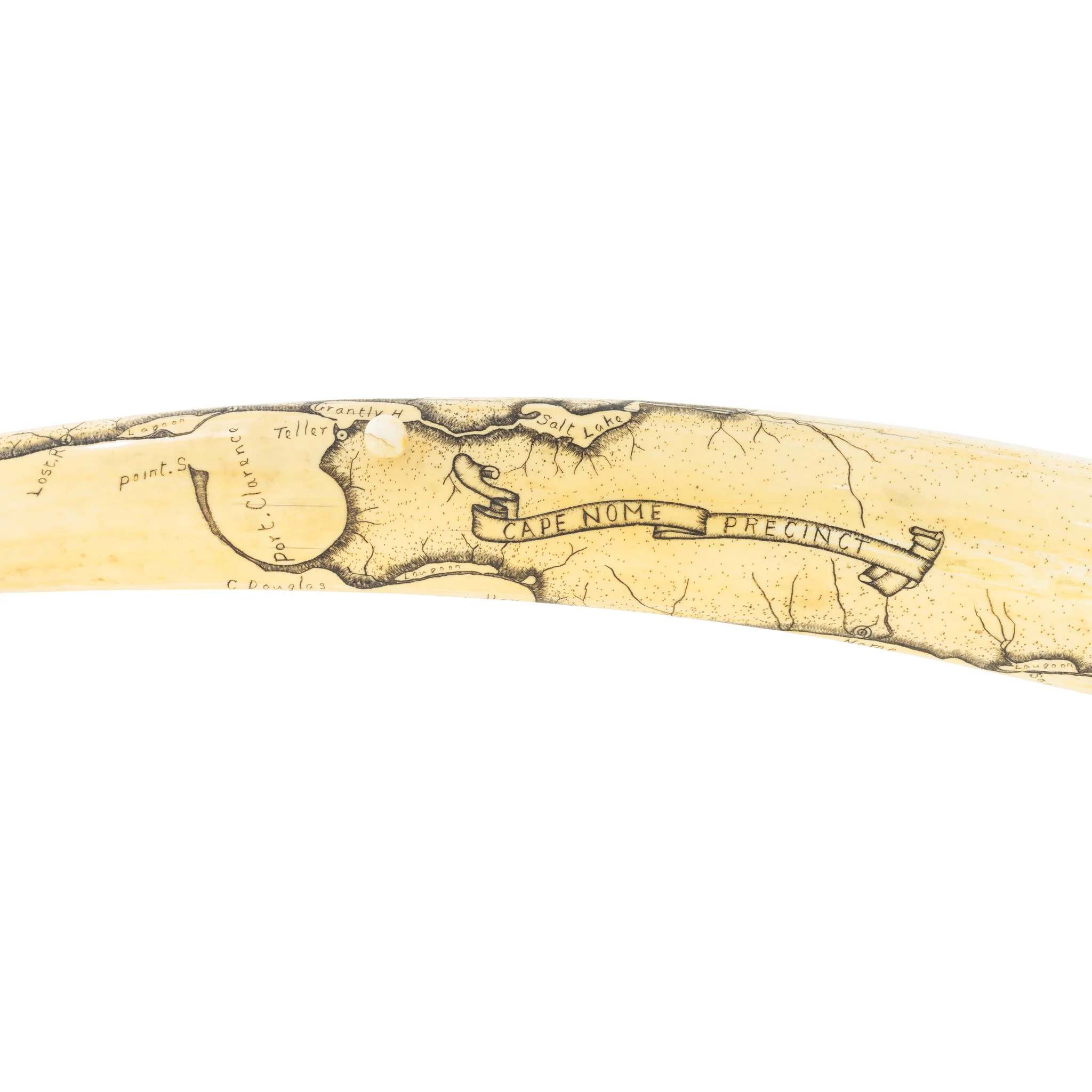 Walrus Ivory Cribbage Board - Image 8